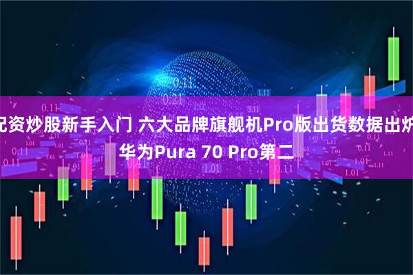 配资炒股新手入门 六大品牌旗舰机Pro版出货数据出炉 华为Pura 70 Pro第二